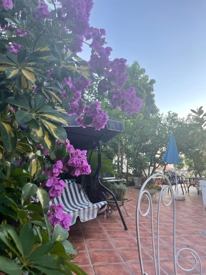 Apartmani Iva Becici Exteriör bild